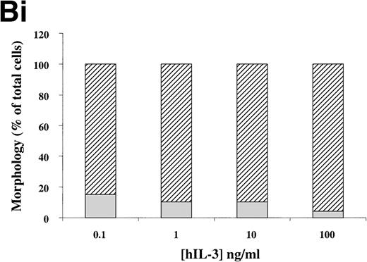 Fig. 6. (A) Morphology of hIL-3 R,βc cells and hGM R,βc cells in culture. Cells expressing hIL-3 R,βc were cultured in (i) hIL-3 (10 ng/mL) alone or (ii) hIL-3 (10 ng/mL) in combination with murine cytokines that promote granulocyte-macrophage differentiation. Cells expressing hGM R,βc were cultured in (iv) hGM-CSF (10 ng/mL) alone or (v) hGM-CSF (10 ng/mL) in combination with granulocyte-macrophage differentiation conditions. Panels (iii) hIL-3 R,βccells and (vi) hGM-CSF R,βc cells show the morphology of cells cultured in granulocyte-macrophage differentiation conditions for comparison. Cytospin samples of cells were prepared after 7 days in culture and the morphology examined after May-Grunwald-Giemsa staining. Bar, 10 μm. Results are from an experiment representative of 3. Similar results were obtained with at least 3 clones of each transfect. (B) Dose-response of hIL-3 and hGM-CSF effects on morphology of hIL-3 R,βc cells and hGM R,βc cells respectively in culture. Cells expressing (i) hIL-3 R,βc or (ii) hGM R,βc were cultured in hIL-3 or hGM-CSF (0.1 to 100 ng/mL), respectively. Cytospin samples of cells were prepared after 7 days in culture and the morphology examined after May-Grünwald-Giemsa staining. Results are expressed as cell morphology (percentage of total cells scored). Cells were scored as blast, early granulocyte (EG), late granulocyte (LG), or macrophage (m/phage). Results are from a single experiment representative of 3. Similar results were obtained with at least 3 clones of each transfect.