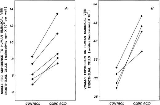 Fig. 4. Effects of oleic acid on hypoxia-induced sickle RBC adherence (A) and VCAM-1 expression (B) on HUVECs. Endothelial cell monolayers were subjected to hypoxia in the absence (control) or presence of 30 μmol/L oleic acid (oleic acid) for 24 hours and then assessed for sickle RBC adherence and VCAM-1 expression.