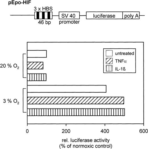 Fig. 4. (Top) Schematic drawing of the relevant parts of the pEpo-HIF plasmid (not in scale). (Bottom) Typical result of a reporter gene expression assay in HepG2 cells treated with either TNF- or IL-1β under normoxic or hypoxic conditions. Relative light units were normalized to the protein level per dish, and values are shown in relation to the normoxic control (=100%).