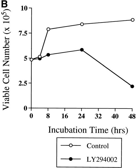 Fig. 2. Time-course study of the effect of LY294002 on the proliferation and survival of erythroid progenitor cells. Day 8 cells that contained 69% ± 4% erythroid progenitor cells were suspended at a concentration of 5 × 105/mL in 1.0 mL serum-free medium supplemented with 2 U/mL EPO with (•) or without (○) 50 μmol/L LY294002. After incubation and at the indicated periods, the cells were collected, washed twice in IMDM containing 0.3% BSA, and then plated into serum-containing fibrin clots with 2 U/mL EPO. After 7 days of incubation, the clots were fixed and stained with benzidine-hematoxylin. (A) Viability; (B) absolute number of viable cells; (C) percent expression for the number of erythroid colonies in relation to the value of 0 hours as 100%. The mean ± SD of triplicates is shown for C. +++P < .001, decrease v control (○); ***P < .001, decreasev 0 hours; #P < .05,###P < .001, increase v 0 hours.