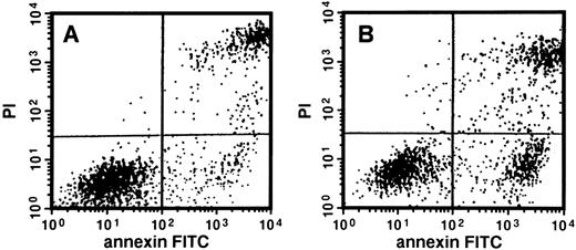 Fig. 4. Apoptosis of erythroid progenitor cells by LY294002. Day 8 cells that contained 71% ± 5% erythroid progenitor cells were suspended at a concentration of 5 × 105/mL in 1.0 mL serum-free medium supplemented with 2 U/mL EPO with (B) or without (A) 50 μmol/L LY294002. After incubation for 24 hours, cells were collected, washed twice, counterstained with PI and annexin V conjugated with FITC, and then analyzed using FACS Vantage.