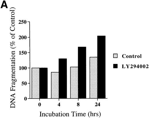 Fig. 5. DNA fragmentation in erythroid progenitor cells challenged with LY294002. Day 8 cells that contained 62% ± 13% erythroid progenitor cells were suspended at a concentration of 5 × 105/mL in 0.5 mL serum-free medium supplemented with 2 U/mL EPO in the presence of 50 μmol/L LY294002 (A) or with various concentrations of LY294002 (B). After incubation for the indicated periods (A) or for 24 hours (B), the cells were collected and washed twice with PBS. DNA fragmentation was determined by quantifying the amount of oligonucleosome-bound DNA in the 20,000× gsupernatant of cell lysates. Data represent the mean from 2 determinations.