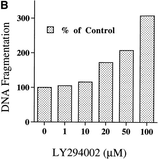 Fig. 5. DNA fragmentation in erythroid progenitor cells challenged with LY294002. Day 8 cells that contained 62% ± 13% erythroid progenitor cells were suspended at a concentration of 5 × 105/mL in 0.5 mL serum-free medium supplemented with 2 U/mL EPO in the presence of 50 μmol/L LY294002 (A) or with various concentrations of LY294002 (B). After incubation for the indicated periods (A) or for 24 hours (B), the cells were collected and washed twice with PBS. DNA fragmentation was determined by quantifying the amount of oligonucleosome-bound DNA in the 20,000× gsupernatant of cell lysates. Data represent the mean from 2 determinations.