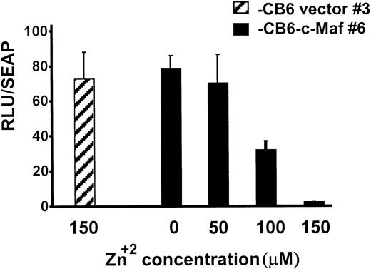Fig. 6. Myb-dependent transcription is functionally impaired in clonal lines of HL-60 cells expressing c-Maf. HL-60 c-Maf clone 6 (▪) or CB6 vector control clone 3 (▨) were incubated at the indicated ZnSO4 concentrations for 12 hours to induce c-Maf protein expression, and then transiently transfected with 5 μg of the −411luc reporter construct containing sequences sufficient for wild-type level, tissue-appropriate expression from theCD13/APN myeloid promoter. Luciferase activities were assayed at 6 hours and normalized for differences in transfection efficiency with SEAP activity produced by the control β-actin-SEAP plasmid.