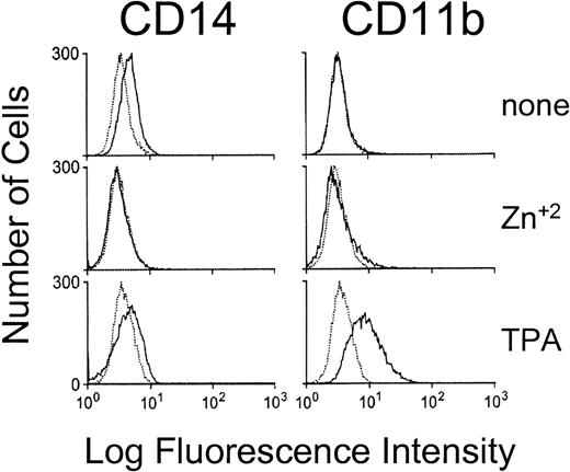 Fig. 7. MEnT does not induce the expression of monocyte specific markers in HL-60 cell lines. Flow cytometric analysis of the expression of the CD14 and CD11b maturation markers on untreated, zinc treated (18 hours), or TPA treated (18 hours) HL-60 MEnT-containing cells. Negative control antibody binding is indicated by dashed lines. Data shown are a representative tracing of clonal line, HL-60 MEnT clone 1 (Western blot showing protein expression Fig 9A).