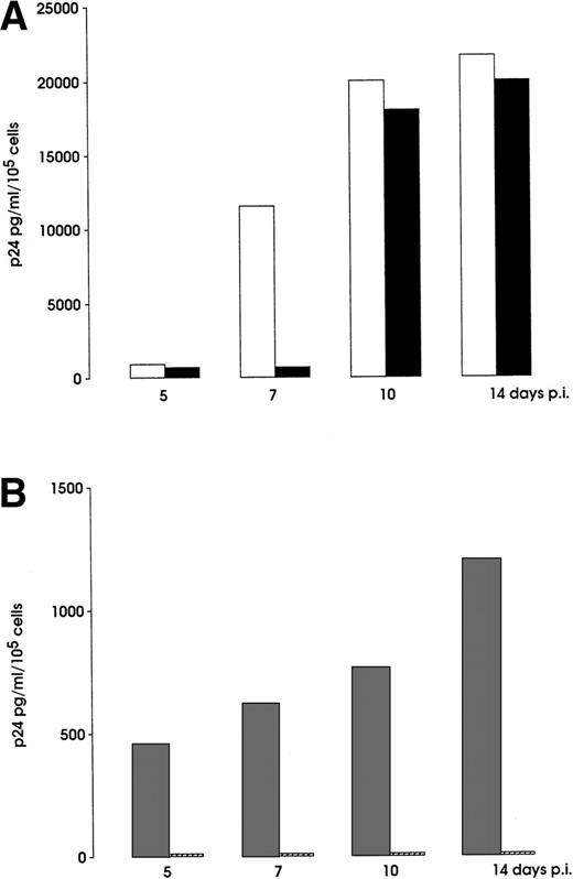 Fig. 8. Inhibition of M-tropic (A) and T-tropic (B) HIV infection of day 5 Mo precursors. Cells were treated or not with a cocktail of MIP-1, MIP-1β, and RANTES or SDF-1, and then inoculated with either BaL or NL4-3 HIV strains, respectively (see Materials and Methods). HIV p24 production was measured for 14 days postinfection (p.i.). Representative results from 1 of 3 independent experiments are shown. (□), BaL; (▪), BaL + MIP-1, MIP-1β, RANTES; (▩), NL4-3; (▨), NL4-3 + SDF-1.