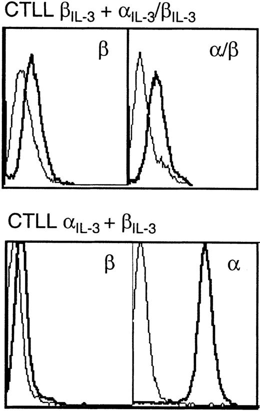 Fig. 3. Flow cytometric analyses of expression of chimeric receptors. CTLL-2 cells expressing both βIL-3 and IL-3/βIL-3 (top), or IL-3and βIL-3 (bottom) were stained with antibodies against the extracellular domain of IL-3 or βIL-3. Thin lines represent results with cells treated with fluorescein isothiocyanate (FITC)-coupled secondary antibody alone; thick lines represent results with cells incubated with anti-receptor antibodies and then FITC-coupled secondary antibody. CTLL-2 cells bearing IL-3 alone or βIL-3 alone displayed levels of expression similar to those shown for CTLL IL-3 + βIL-3.