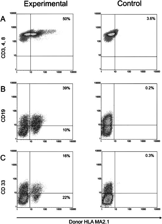 Fig. 4. Hematopoietic reconstitution in the SCID-hu mice with 10,000 ex vivo–expanded CD34+ thy-1+ cells from 5-week cultures. (A) Intrathymic T-cell development of ex vivo–expanded CD34+ thy-1+ cells. Graft cells were analyzed by flow cytometry for T-cell markers, CD3, CD4, and CD8, and donor marker (HLA-MA2.1–positive). The percentage of T cells expressing detectable levels of donor-specific HLA class I antigen was recorded. (B) B-cell differentiation and (C) myeloid differentiation of ex vivo–expanded CD34+ thy-1+ cells in implanted human fetal bone fragment. Graft cells were analyzed for B-cell marker CD19 and myeloid marker CD33, and donor marker HLA-MA2.1.