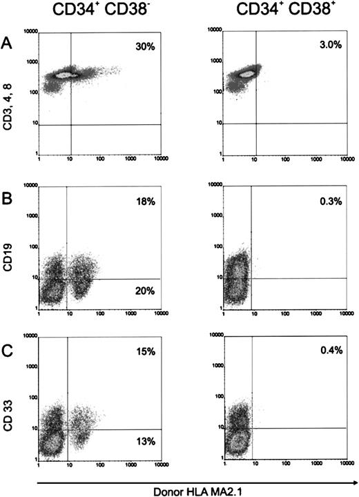 Fig. 6. Hematopoietic reconstitution in the SCID-hu mice with 10,000 freshly purified human fetal BM CD34+CD38− cells. (A) Intrathymic T-cell development, (B) B-cell differentiation, and (C) myeloid differentiation of purified CD34+ CD38− cells in implanted human fetal bone fragment. See Fig 4 legend for additional information.