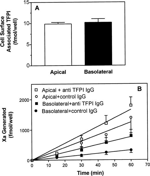 Fig. 3. TFPI expression on polarized Caco-2 epithelial cells. (A) Cell-surface–associated TFPI: The apical and basolateral cell surfaces were treated with 500 μL 0.1 mol/L glycine pH 3.0 for 3 minutes to remove cell-surface–associated TFPI. Eluates were removed from the dish and pH was adjusted to 7.8 with 1 mol/L Tris and assayed for TFPI activity. Data are the mean ± SD of 4 independent experiments. (B) Effect of anti-TFPI on cell-surface TF/VIIa functional activity: Caco-2 cells grown in transwells were treated with control IgG (circles) or with polyclonal anti-TFPI antibodies (100 μg/mL) (squares) for 30 to 60 minutes on both the apical (open symbols) and basolateral (closed symbols) surfaces, and a Xa generation assay was performed as described in the legend to Fig 1. Data are the mean ± SD of 5 independent experiments.