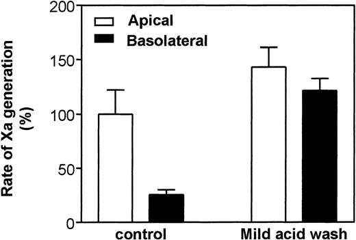 Fig. 5. Effect of mild acid wash on TF/VIIa functional activity on polarized Caco-2 cells. Caco-2 cells in transwells were treated for 3 minutes with a mild acid wash (0.1 mol/L glycine, pH 3.0) or with buffer B (control). Cells were washed 3 times with buffer B after the acid treatment and then assayed for TF/VIIa activity as described in the legend to Fig 1. (Note: Polarized cell layers were tested for their integrity after the assay by measuring TER and flow of iodine labeled tracer across the cell layer. There was no loss of integrity after the mild acid wash.) Data are the mean ± SD of 3 independent experiments each in duplicates. Rate of Xa generation measured on the apical surface was taken as 100%.
