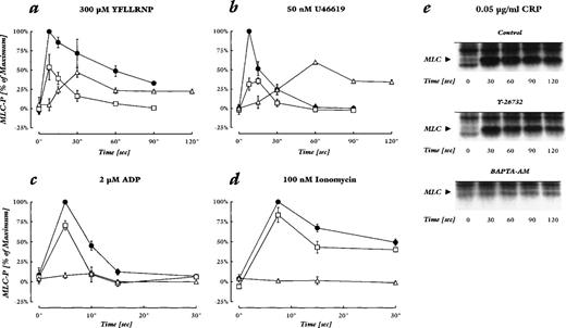 Fig. 4. Effect of Rho-kinase inhibition and chelation of cytosolic Ca2+ on MLC-phosphorylation induced by different agonists. (a through d) MLC-phosphorylation levels in percent of the maximal increase upon stimulation of untreated controls. The maximal increase of MLC-phosphorylation stimulated by the different agonists was similar. Shown are controls (•), samples pretreated with 20 μmol/L Y-27632 (□), or 20 μmol/L BAPTA-AM and 2 mmol/L EGTA (▵). Values are mean ± SD of 3 to 4 independent experiments. (e) Autoradiographs of phosphorylated MLC after stimulation with 0.05 μg/mL CRP in untreated control samples (top), samples pretreated with 30 μmol/L Y-27632 (middle), or 50 μmol/L BAPTA-AM and 2 mmol/L EGTA (bottom). The results shown are representative of 2 experiments.