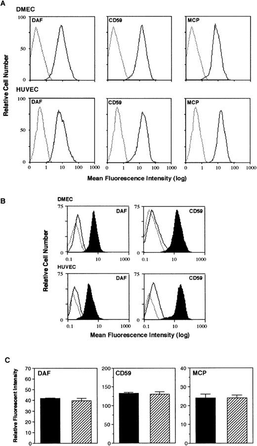 Fig. 1. Expression of DAF, CD59, and MCP on HUVECs and DMECs. (A) Expression of DAF, CD59, and MCP on resting ECs was assessed by flow cytometry using mAbs 5B2, A35, and TRA-2-10, respectively. The figure shows expression on DMECs and HUVECs with background fluorescence (FITC-labeled rabbit anti–mouse Ab alone, …) and specific antigen expression (—). (B) EC monolayers were incubated for 30 minutes in the absence or presence of PIPLC before harvesting and analysis by flow cytometry. DAF and CD59 were detected with MoAb 5B2 and A35, respectively. The figure shows background fluorescence (…), untreated ECs demonstrating constitutive expression (shaded histogram), and PIPLC-treated ECs (—). (C) HUVECs were harvested with either trypsin/EDTA (▪) or a nonenzymatic cell-dissociation solution (▨) before analysis by flow cytometry. DAF, CD59, and MCP were detected with MoAbs 5B2, A35, and TRA-2-10, respectively. The figure is representative of 3 similar experiments.