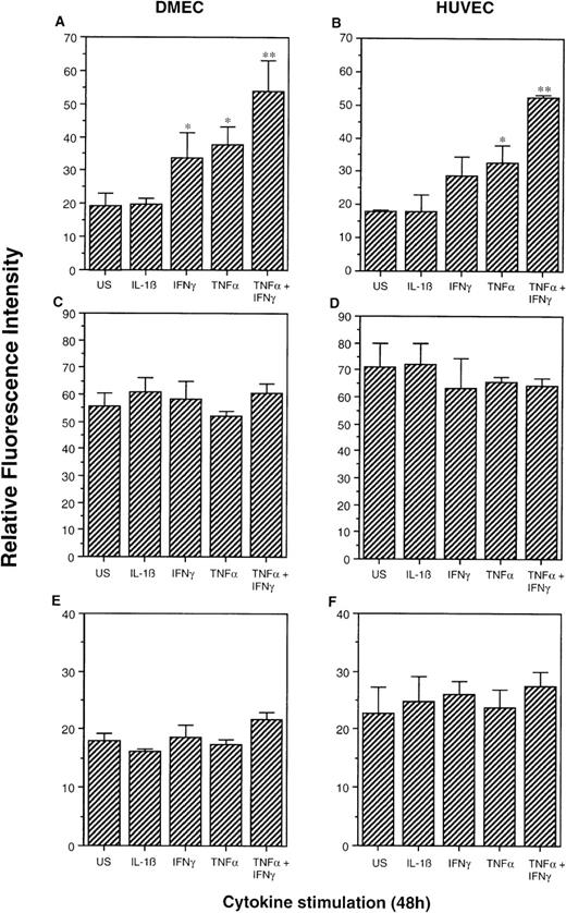 Fig. 2. Analysis of DAF, CD59, and MCP expression on DMECs and HUVECs following stimulation with cytokines. Monolayers of ECs were incubated for 48 hours in the presence or absence of IL-1β (10 ng/mL), IFNγ (500 U/mL), TNF- (10 ng/mL), or TNF- and IFN-γ before harvesting and analysis by flow cytometry. DAF, CD59, and MCP were detected using MoAbs 5B2, A35, and TRA-2-10, respectively. The results (mean ± SD) are expressed as the RFI (MFI of test sample divided by MFI of irrelevant isotype-matched negative control) for (A, B) DAF, (C, D) CD59, and (E, F) MCP. The results are representative of 4 experiments performed on different EC lines. *P < .05, **P < .02. The efficacy of cytokines used in each experiment was confirmed by their ability to induce VCAM-1 or ICAM-1 as appropriate (data not shown). US, unstimulated.
