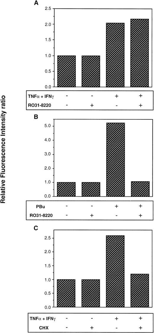 Fig. 4. Effect of cycloheximide and the PKC antagonist RO31-8220 on DAF expression by ECs. HMECs plated at confluence in 35-mm petri dishes (6 × 105 cells/dish) and cultured overnight at 37°C were treated with (A, B) RO31-8220 (1 μmol/L) and (C) cycloheximide (CHX, 1 μg/mL) for 30 minutes before addition of activating factors. The cells were subsequently stimulated with (A, C) TNF- (10 ng/mL) and IFN-γ (500 U/mL), (B) PBu (50 ng/mL), or plain medium for 48 hours. After harvesting, DAF expression was measured by flow cytometry using MoAb 5B2, with MOPC-21 as an isotype-matched negative control. The figure shows the effect of (A, B) specific PKC antagonist RO31-8220 on TNF- and IFN-γ– and PBu-induced DAF expression, respectively, and (C) CHX on TNF- and IFN-γ–induced DAF. CHX also completely inhibited PBu-induced DAF (data not shown). To exclude the effects of nonspecific cytotoxicity, cell viability was assessed by monolayer morphology, cell-counting, and trypan blue exclusion on EC populations before staining (data not shown). To control for any effect of the antagonists on the constitutive expression of DAF, results are expressed as the RFI ratio. The figure is representative of 4 similar experiments.