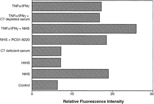 Fig. 6. Upregulation of DAF on ECs following assembly of the MAC of complement. HMECs were plated at confluence in 24-well plates (2 × 105 cells/dish) and cultured overnight at 37°C. They were then opsonized with MoAb RMAC8 or negative control MoAb for 1 hour, followed by addition of 2.5% NHS to induce formation of the MAC. In parallel wells, ECs were pretreated with a combination of TNF- and IFN-γ for 16 hours before assembly of the MAC. Additional controls included the addition of HIHS or C7-deficient serum in place of NHS. To inhibit PKC, RO31-8220 was added for 30 minutes before assembly of the MAC and remained in the cultures throughout the assay. After a total incubation of 24 hours at 37°C, ECs were harvested and DAF expression was quantified by flow cytometry using an FITC-labeled anti-DAF MoAb.