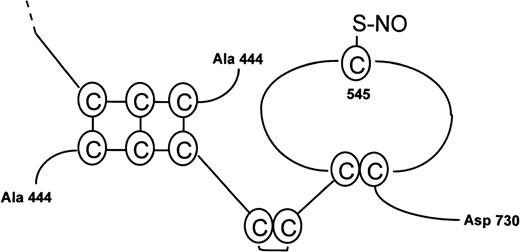 Fig. 2. Structure of S-nitroso-AR545C. Note that the first 3 cysteines are depicted as disulfide-linked to their corresponding cysteines in a second monomer, only the partial structure of which is shown, as S-nitrosation was performed with the intact dimer.
