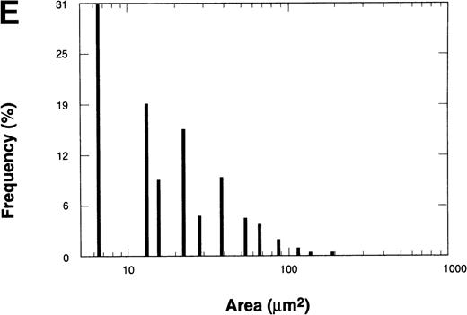 Fig. 6. The effect of the S-nitroso-AR545C or AR545C on platelet interaction with ECM under flow conditions (shear rate of 1,300 s−1). Citrated whole blood (0.25 mL) was tested in the cone-plate viscometer analysis system after a 10-minute preincubation with either control buffer, 1.5 μmol/L AR545C, or 1.5 μmol/L S-nitroso-AR545C, and shown in representative field of the video screen (A, B, and C, respectively). The corresponding frequency histograms (D, E, and F, respectively) for the size distribution of the adhered platelets and platelet aggregates are also depicted.