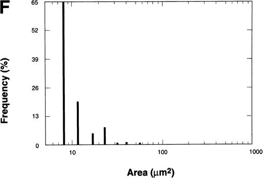 Fig. 6. The effect of the S-nitroso-AR545C or AR545C on platelet interaction with ECM under flow conditions (shear rate of 1,300 s−1). Citrated whole blood (0.25 mL) was tested in the cone-plate viscometer analysis system after a 10-minute preincubation with either control buffer, 1.5 μmol/L AR545C, or 1.5 μmol/L S-nitroso-AR545C, and shown in representative field of the video screen (A, B, and C, respectively). The corresponding frequency histograms (D, E, and F, respectively) for the size distribution of the adhered platelets and platelet aggregates are also depicted.