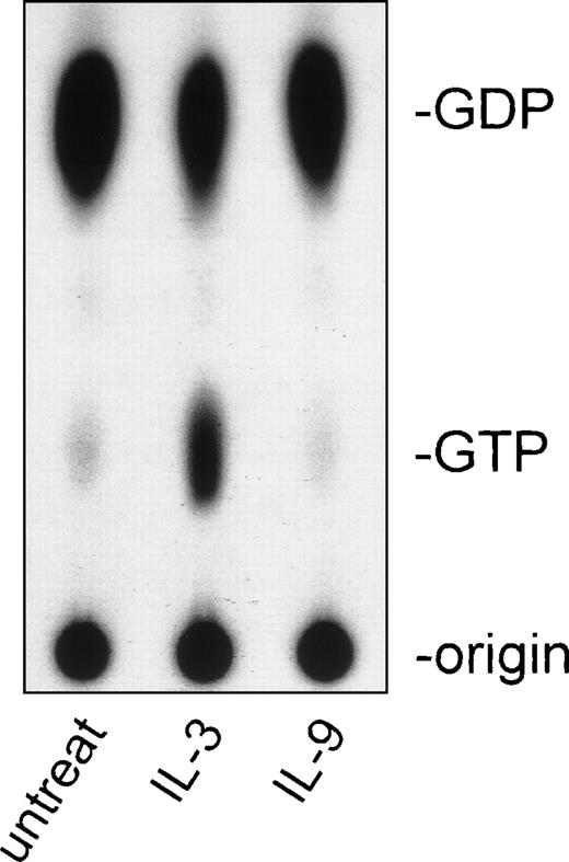 Fig. 7. Activation of M-Ras by IL-3 but not by IL-9. BaF3 cells constitutively expressing the hIL-9 receptor and wild-type M-Ras were cytokine-starved 8 hours in serum-free medium before stimulation with 500 U/mL of either hIL-9 or 3 ng/mL of mIL-3. Thin-layer chromatography of in vivo 32P-labeled GDP and GTP was perfomed after immunoprecipitation of M-Ras. The result is representative of 3 independent experiments. untreat, untreated cells.