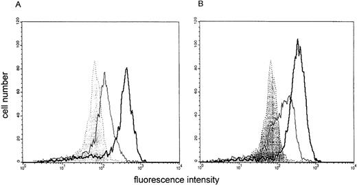 Fig. 3. Effect of LPS preincubation on ICAM-1 (CD54) expression by stimulated monocytes. The binding of fluorescein isothiocyanate (FITC)-labeled CD54 antibodies to monocytes is shown. An overlay histogram is given to compare membrane expression of CD54 on unstimulated cells (filled histogram), monocytes stimulated with IFN-γ (300 U/mL) (A) or IFN-γ/LPS (B) (open histogram, thin line) and IFN-γ (A) or IFN-γ/LPS (B) stimulated monocytes preincubated with LPS for 24 hours (open histogram, thick line). One representative experiment of 3 is depicted.