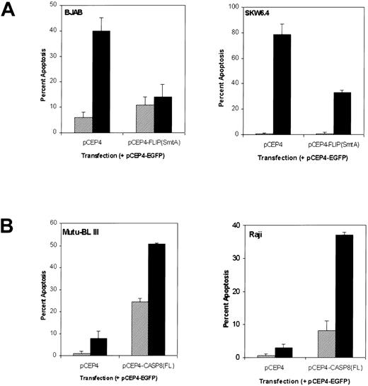 Fig. 8. Susceptibility of BL cell lines to Fas-mediated apoptosis can be regulated by caspase-8 and FLIPL. (A) Percent apoptosis in Fas-sensitive BJAB and SKW6.4 cell lines cotransfected with pCEP4-FLIPL (SmtA) plus the pCEP4-EGFP reporter construct. After incubation for 72 hours, the transfected cultures were either left untreated (▨) or treated with anti-Fas IgM (500 ng/mL, ▪) for an additional 8 hours. Percentage apoptosis was measured in 300 EGFP-positive cells using a combination of fluorescence and phase microscopy as described in Materials and Methods. (B) The Fas-resistant BL cell lines Mutu-BL III and Raji were cotransfected with pCEP4-CASP8(FL) and pCEP4-EGFP expression constructs. Transient transfection and evaluation of Fas-mediated apoptosis was performed as described in (A).