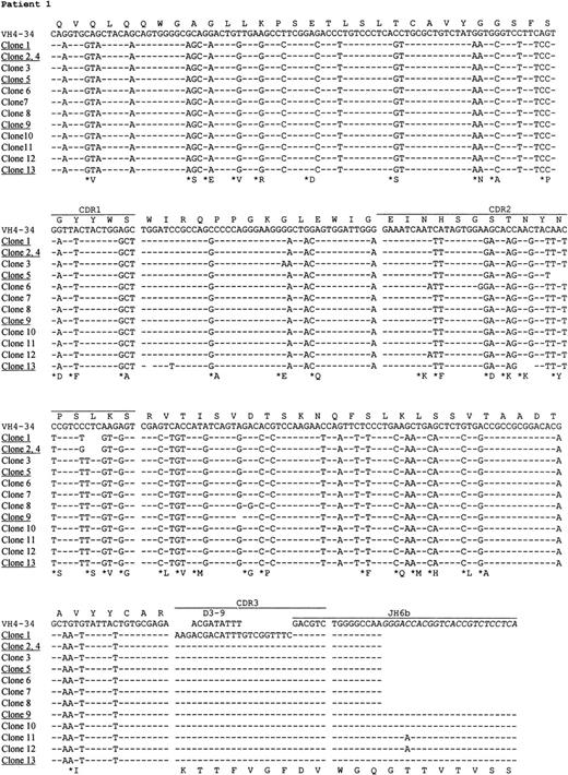 Fig. 2. Nucleotide and deduced amino acid sequences of VH genes derived from PCNSL. Comparisons were made with the most homologous germ line VH genes. Dashes represent identity with the representative germ line sequence. Replacement amino acids are starred. Blank space indicates nucleotide deletion. The binding sites for JHprimers are shown in italics. For patients 1 and 4, full JHsequences are shown for the clones obtained by PCR using the VH leader and the Cμ primers. Clones with nucleotide deletions in case 1 are underlined. The VH gene sequences have been deposited to the EMBL database with following accession numbers: patient 1, AJ235649-AJ235661; patient 2,AJ235662; patient 3, AJ235663; patient 4, AJ235664-AJ23566; patient 5,AJ235671-AJ235678.