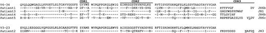 Fig. 3. Deduced amino acid sequences of VH regions of PCNSL. Comparisons were made with the most homologous germ line VH genes. Amino acid numbering is according to Kabat et al.46 Dashes represent identity with the representative germ line sequence. Uppercase, replacement mutation; lowercase, silent mutation.