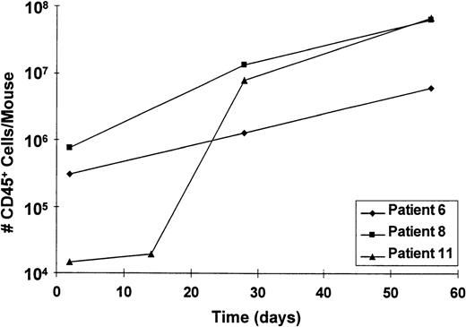 Fig. 5. Kinetics of AML cell growth in NOD/SCID mice. Animals injected with 107 cells from pts 6, 8, and 11 were killed at various timepoints postinjection and the total number of CD45+ cells per mouse was determined by FACS and plotted over time. A continuous expansion in cell numbers throughout the 8-week-period of assessment was seen.