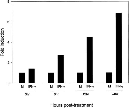 Fig. 3. Kinetics of IFN-γ–induced upregulation of B7-2 mRNA. MM6 cells were stimulated in the presence or absence of 500 U/mL of IFN-γ for the indicated times. Total cellular RNA was isolated, and Northern blot analysis for B7-2 mRNA expression was performed. The same filter was subsequently probed with GAPDH to ensure that comparable amounts of RNA were loaded in each lane. Data shown are from 1 representative experiment of 2 performed. Northern blot analysis for B7-2 mRNA expression (upper panel). Quantitative analysis of B7-2 mRNA expression (lower panel). As explained in Materials and Methods, the bands’ intensities were normalized to the GAPDH housekeeping gene control, and the graph was generated with the relative values obtained after normalization.