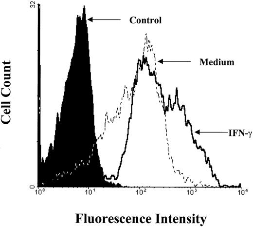 Fig. 4. B7-2 surface expression is enhanced by treatment with IFN-γ. MM6 cells were cultured for 24 hours in the presence or absence of 500 U/mL of IFN-γ. Cells were harvested and labeled for immunofluorescence analysis as described in Materials and Methods. Flow cytometry analysis was performed using an Elite flow cytometer. Closed histogram (in black) represents isotype-matched antibody control. Broken line histogram (-----) represents medium treated cells (MCFI = 16). Solid line histogram (_____) represents IFN-γ–treated cells (MCFI = 48). The MCFI values shown for medium- and IFN-γ–treated cells indicate the relative MCFI of the B7-2 staining monoclonal antibody after subtracting the MCFI of the isotype-matched antibody. Data shown are from 1 of 3 similar experiments.