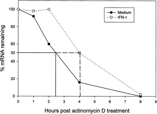 Fig. 6. Treatment of MM6 cells with IFN-γ increases B7-2 mRNA stability. MM6 cells were incubated for 18 hours in medium alone or in medium supplemented with 500 U/mL of IFN-γ. After 18 hours, cells were treated with 5 μg/mL of Act-D, and their total cellular RNA was collected and analyzed by Northern blot for B7-2 mRNA expression at the indicated time points. Data shown are from 1 representative experiment of 2 performed. The graph was generated as described in Materials and Methods, and data are presented as the relative amounts of B7-2 mRNA remaining after adding Act-D and normalizing to the respective amounts of GAPDH.