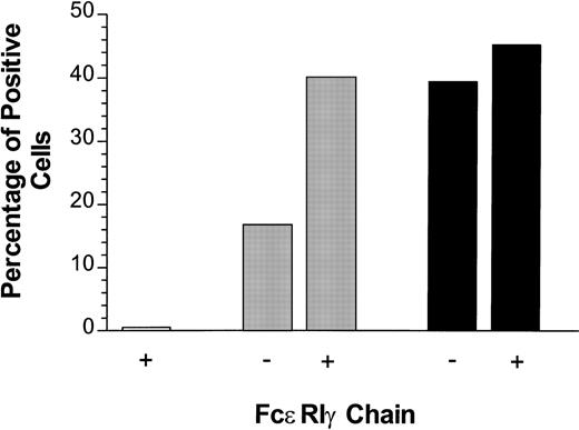 Fig. 3. Cotransfection of FcɛRIγ with CD4/PIR-A3 enhances cell surface expression in 293T cells. Fifty nanograms of pcDNA3 (□), CD4/PIR-A3 (▩), or CD4/PIR-A3R632L (▪) cDNA were transiently transfected in the absence or presence of 500 ng murine FcɛRIγ cDNA. Twenty-four hours later, the cultures were labeled with PE-conjugated anti-human CD4 for flow cytometric analysis.