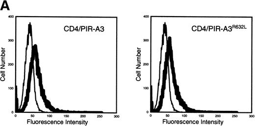 Fig. 5. CD4/PIR-A3 is expressed and associates with FcɛRIγ in ANA-1 stable transfectants. (A) ANA-1 express CD4/PIR-A3 and CD4/PIR-A3R632L. ANA-1 macrophages were transfected with pcDNA3 (thin traces), CD4/PIR-A3 (left panel, thick trace), or CD4/PIR-A3R632L (right panel, thick trace) expression vectors, as described in Materials and Methods. Clones were screened for expression using PE-conjugated anti-human CD4. (B) CD4/PIR-A3 is associated with a tyrosine phosphoprotein after pervanadate stimulation in ANA-1. ANA-1 clones (5 × 106 cells/point) were stimulated in the absence or presence of pervanadate followed by lysis in 1% Brij-96 buffer. Whole cell lysates were immunoprecipitated with anti-human CD4 and eluted in nonreducing Laemmli sample buffer. Immune complexes were separated by 4% to 20% SDS-PAGE and immunoblotted with antiphosphotyrosine. (C) FcɛRIγ associates with CD4/PIR-A3 via Arg632. ANA-1 clones (25 × 106 cells/point) were lysed and processed as above, using reducing Laemmli sample buffer followed by separation with 4% to 20% SDS-PAGE and immunoblotting with antimurine FcɛRIγ.
