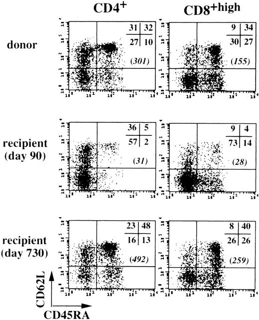 Fig. 1. Recovery of naive peripheral CD45RA+/CD62L+ T cells in long-term BMT patients. Peripheral CD4+ and CD8+ T cells from UPN 324 (30 years old) and his donor were examined by triple-color immunofluorescence at various time points after BMT. Values in brackets are numbers of CD45RA+/CD62L+ T cells per microliter of blood.