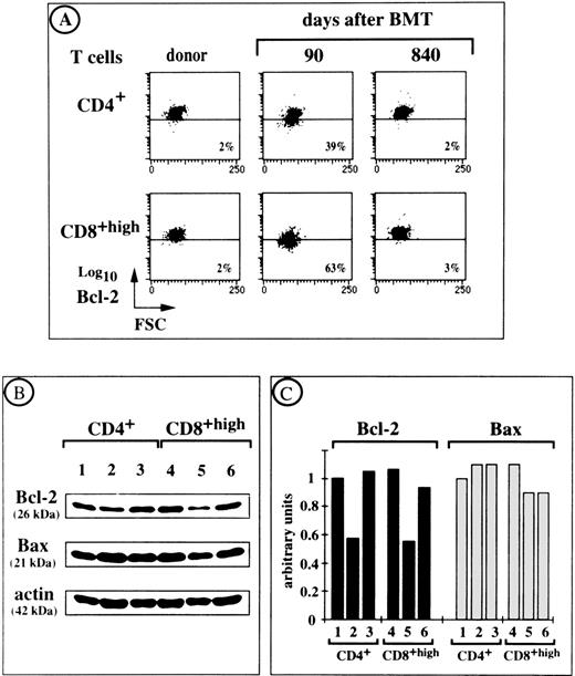 Fig. 6. Ex vivo intracellular Bcl-2 and Bax protein expression by T cells from UPN 342 at various times after BMT. (A) A follow-up study of Bcl-2 levels in CD4+ and CD8+ T cells from UPN 342 is shown. Percentages of cells with a Bcl-2 content lower than that of donor cells are indicated. (B) Immunoblot analysis of Bcl-2 and Bax protein expression in 5 × 105 T FACS-purified CD4+ and CD8+ T cells from UPN 342. Actin levels were assessed for the same samples. Lane 1, donor T cells; lane 2, ex vivo T cells on day 90 after BMT; lane 3, ex vivo T cells on day 840 after BMT. (C) Relative levels of Bcl-2 and Bax proteins determined by scanning the exposed films with a densitometer and expressed relative to the level of actin in the same samples. Ratios were calculated for each experimental point as follows: absorbance of Bcl-2 or Bax staining/absorbance of actin staining. The ratio for sample 1 was set as 1 arbitrary unit. All the other ratios were referred to this internal ratio.