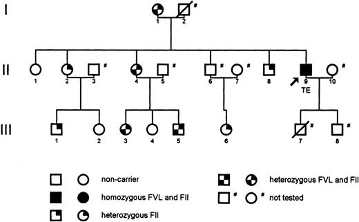 Fig. 1. Pedigree of the reported family. The arrow indicates the propositus, who is a double-homozygous carrier of factor V Leiden (FVL) and the prothrombin G20210A gene mutation (FII). Individuals with a slash through the symbol are deceased. TE, venous thromboembolism.