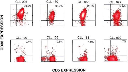 Fig. 1. Representative flow cytometric profiles of CD38 expression on mutated and unmutated CD5+/CD19+ B-CLL cases. B-CLL cases were analyzed by flow cytometry after exposure to anti–CD19-APC, anti–CD5-FITC, and anti–CD38-PE. The events illustrated were obtained by gating on cells expressing CD19. Density plots of CD38 and CD5 expression are shown for 8 representative B-CLL cases. The upper 4 cases had less than 2% mutations in either the VH or VL genes, whereas the lower 4 cases had mutations in the VH and/or VL genes.