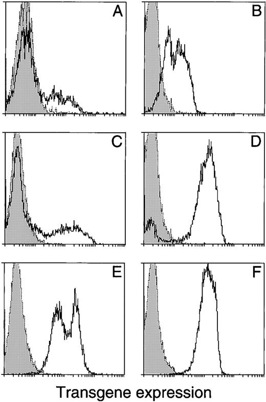Fig. 2. Flow cytometric analysis of transgene expression in peripheral blood leukocytes. (A) A vav-lacZ transgenic progeny mouse (10 weeks old) and (B through F) HS21/45 vav-hCD4 mice. (B) Primary vav-hCD4 animal with intermediate expression; (C and D) mosaic primary vav-hCD4 mice; and (E and F) their respective transgenic progeny. Dotted lines with shading underneath show nontransgenic controls run in parallel. The expression oflacZ was assessed by a flow cytometric assay for β-galactosidase activity11 and of hCD4 with an antibody (see Materials and Methods). The 2 peaks in (E), which may reflect the different hCD4 levels in different cell lineages (see Table 1), were not as notable in other mice of that strain.