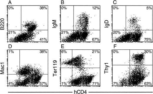 Fig. 3. Expression profile of hCD4 in hematopoietic tissues of HS21/45 vav-hCD4 progeny mice. Nucleated bone marrow (A) B220+, (B) IgM+, and (C) IgD+B-lymphoid cells; (D) Mac1+ myeloid cells; (E) Ter119+ erythroid cells; and splenic (F) Thy1+ T cells. Quadrants were set so that the marker+ hCD4+ cells in a nontransgenic control sample, run in parallel, did not exceed 5% of total marker+ cells analyzed. As would be expected, essentially all cells from the nontransgenic controls then fell in the left quadrants, and the percentage of cells bearing each lineage-specific marker (eg, B220) was similar to that of the corresponding transgenic population.