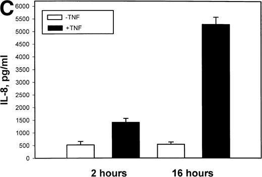 Fig. 1. TNF inducible IL-8 expression in the U937 monocytic cell line. (A) TNF rapidly induces IL-8 mRNA abundance. U937 cells were untreated (control) or stimulated with 20 ng/mL TNF for the indicated times (in minutes, at top). Total RNA was extracted and analyzed by Northern analysis by hybridization with a hIL-8 cDNA probe (top) and an 18S cDNA probe (bottom) as an internal control. Shown is a representative Northern blot. Relative to control, IL-8 increases 10-fold (30 minutes), 37-fold (45 minutes), and 56-fold (60 minutes). This experiment was reproduced 2 times with similar results. (B) TNF induces a dose-dependent increase in IL-8 mRNA abundance. Cells unstimulated/stimulated with the indicated doses (in ng/mL) TNF for 1 hour were lysed and the total RNA subject to Northern analysis by hybridization with a hIL-8 cDNA probe (top) and an 18S cDNA probe (bottom) as an internal control. Relative to control, 0.0064 ng/mL TNF increased normalized IL-8 signal by 2-fold, 0.032 ng/mL TNF increased IL-8 signal by 7-fold, 0.16 ng/mL TNF increased IL-8 signal by 21-fold; 0.8 ng/mL increased IL-8 signal by 38-fold. This experiment was reproduced 2 times with similar results. (C) TNF induces a time-dependent increase in IL-8 protein secretion. Duplicate cultures were untreated (control) or stimulated with 20 ng/mL TNF. At indicated times, cell culture supernatants were harvested and immunoreactive IL-8 determined by ELISA. Shown is the mean ± SD of n = 2 independent experiments. TNF increases IL-8 secretion by 2.4-fold at 2 hours and 10-fold by 16 hours. Basal secretion is 500 pg/mL and unchanged any time of this experiment (P< .0001 for unstimulated v stimulated).