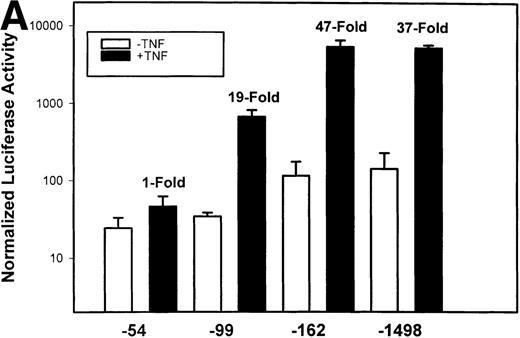 Fig. 2. Identification of TNF-inducible IL-8 cis elements in U937 cells. (A) 5′-deletions of the human IL-8 promoter/Luciferase reporter (hIL-8/LUC) were transfected into U937 cells. Sixteen hours later, cells were stimulated with 20 ng/mL TNF for 6 hours before luciferase assay. Shown is the normalized Luciferase activity from a representative transfection plotted on a semilogarithmic graph. Above the TNF-stimulated bar is the fold activation of the Luciferase activity by TNF (fold: activity of stimulated divided by activity of unstimulated). (B) Site mutations of NF-κB, NF-IL6, and AP-1 sites in the context of the –162hIL-8/LUC were analyzed for their inducibility by TNF. Shown is the normalized Luciferase activity in a representative transfection (mean ± SD,P < .0001 for all comparisons of unstimulated vstimulated, except ▵NF-κB). (C) Multimers of NF-κB, NF-IL6, and AP-1 sites ligated upstream of an inert hIL-8 TATA box were analyzed for their inducibility by TNF. As a positive control, the AP-1 multimer was treated for 6 hours with 1 μmol/L phorbol myristyl acetate (PMA). Shown is the normalized Luciferase activity from a representative transfection. TNF stimulated the NF-κB multimer, and PMA stimulated the AP-1 multimer (P < .0001 for comparisons of unstimulated v stimulated).