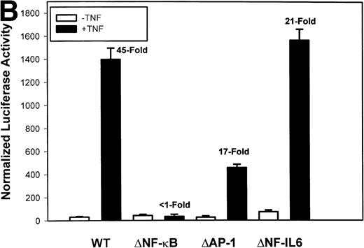 Fig. 2. Identification of TNF-inducible IL-8 cis elements in U937 cells. (A) 5′-deletions of the human IL-8 promoter/Luciferase reporter (hIL-8/LUC) were transfected into U937 cells. Sixteen hours later, cells were stimulated with 20 ng/mL TNF for 6 hours before luciferase assay. Shown is the normalized Luciferase activity from a representative transfection plotted on a semilogarithmic graph. Above the TNF-stimulated bar is the fold activation of the Luciferase activity by TNF (fold: activity of stimulated divided by activity of unstimulated). (B) Site mutations of NF-κB, NF-IL6, and AP-1 sites in the context of the –162hIL-8/LUC were analyzed for their inducibility by TNF. Shown is the normalized Luciferase activity in a representative transfection (mean ± SD,P < .0001 for all comparisons of unstimulated vstimulated, except ▵NF-κB). (C) Multimers of NF-κB, NF-IL6, and AP-1 sites ligated upstream of an inert hIL-8 TATA box were analyzed for their inducibility by TNF. As a positive control, the AP-1 multimer was treated for 6 hours with 1 μmol/L phorbol myristyl acetate (PMA). Shown is the normalized Luciferase activity from a representative transfection. TNF stimulated the NF-κB multimer, and PMA stimulated the AP-1 multimer (P < .0001 for comparisons of unstimulated v stimulated).