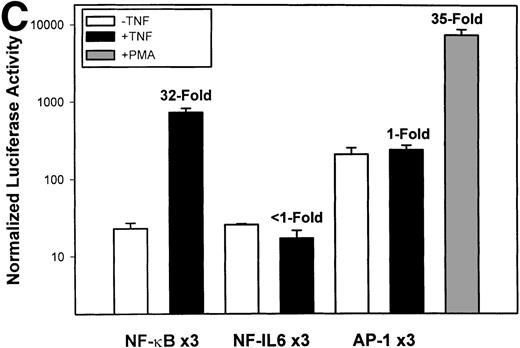Fig. 2. Identification of TNF-inducible IL-8 cis elements in U937 cells. (A) 5′-deletions of the human IL-8 promoter/Luciferase reporter (hIL-8/LUC) were transfected into U937 cells. Sixteen hours later, cells were stimulated with 20 ng/mL TNF for 6 hours before luciferase assay. Shown is the normalized Luciferase activity from a representative transfection plotted on a semilogarithmic graph. Above the TNF-stimulated bar is the fold activation of the Luciferase activity by TNF (fold: activity of stimulated divided by activity of unstimulated). (B) Site mutations of NF-κB, NF-IL6, and AP-1 sites in the context of the –162hIL-8/LUC were analyzed for their inducibility by TNF. Shown is the normalized Luciferase activity in a representative transfection (mean ± SD,P < .0001 for all comparisons of unstimulated vstimulated, except ▵NF-κB). (C) Multimers of NF-κB, NF-IL6, and AP-1 sites ligated upstream of an inert hIL-8 TATA box were analyzed for their inducibility by TNF. As a positive control, the AP-1 multimer was treated for 6 hours with 1 μmol/L phorbol myristyl acetate (PMA). Shown is the normalized Luciferase activity from a representative transfection. TNF stimulated the NF-κB multimer, and PMA stimulated the AP-1 multimer (P < .0001 for comparisons of unstimulated v stimulated).