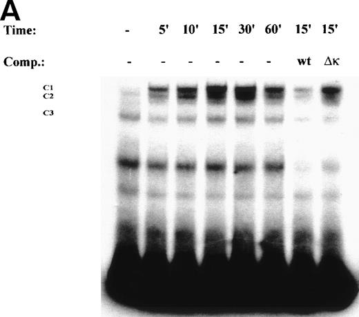 Fig. 3. TNF induces NF-κB binding and IκB proteolysis. (A) TNF rapidly induces nuclear NF-κB Rel A DNA binding. U937 cells unstimulated or stimulated with 20 ng/mL TNF for the indicated times (at top). Cells were lysed, the nuclei were isolated, and subjected to EMSA analysis with a radiolabeled IL-8 NF-κB site. The bound complexes (C1-C3) are indicated. Unlabeled duplex wild-type (wt) or mutant NF-κB (▵κ) competitors were included where indicated. (B) Antibody interference. EMSA of TNF-stimulated nuclear extract was prepared. Either normal rabbit serum (NRS), anti-p50, or anti-Rel A antibodies were preincubated for 1 hour before the assay as indicated. Asterix is a faint supershifted band. C1 and C2 are completely attenuated by the Rel A antibody. Bottom: lighter exposure. C3, C2, and C1 are attenuated by the p50 antibody. (C) TNF induces time-dependent proteolysis of the IκB protein. Cells unstimulated/stimulated with 20 ng/mL TNF for the indicated times (top) were lysed and the cytosols were prepared. Top panel, Western immunoblot with anti-IκB antibody; bottom panel, Western immunoblot with an anti-β–actin antibody (internal control).