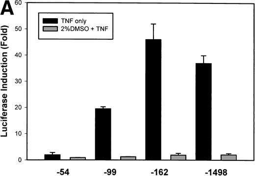 Fig. 6. Antioxidant effect maps to the NF-κB element. (A) Serial 5′ deletions of the IL-8 promoter analyzed for their DMSO-sensitivity. Triplicate cell cultures were transfected with the indicated IL-8/LUC reporter plasmids and an SV40/alkaline phosphatase plasmid as an internal control. Cells were unstimulated/stimulated with 20 ng/mL TNF in the absence or presence of 2% (vol/vol) DMSO. Fold-induction of the Luciferase activity of stimulated cells is shown (P < .0001 for –99, -162, -1498: nonpretreated vpretreated with 2% (vol/vol) DMSO). (B) DMSO-sensitivity of IL-8 promoter point mutations. Triplicate cell cultures were transfected with the indicated IL-8/LUC reporter plasmids and an SV40/alkaline phosphatase plasmid as an internal control. Cells were unstimulated/stimulated with 20 ng/mL TNF in the absence/presence of 2% (vol/vol) DMSO. Fold-induction of the Luciferase activity of stimulated cells is shown (P < .0001 for nonpretreatedv DMSO-pretreated, except ▵NF-κB). (C) DMSO effects on IL-8 multimers. Multimers of NF-κB, NF-IL6, and AP-1 sites ligated upstream of an inert hIL-8 TATA box were analyzed for their DMSO sensitivity. Triplicate cell cultures were transfected with the indicated IL-8/LUC reporter plasmids and a SV40/alkaline phosphatase plasmid as an internal control. Cells were untreated or stimulated with 20 ng/mL TNF in the absence or presence of 2% (vol/vol) DMSO. Fold-induction of stimulated Luciferase activity is shown (for NF-κB multimer nonpretreated v DMSO-pretreated, P < .0001).