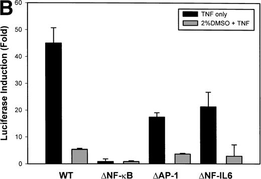 Fig. 6. Antioxidant effect maps to the NF-κB element. (A) Serial 5′ deletions of the IL-8 promoter analyzed for their DMSO-sensitivity. Triplicate cell cultures were transfected with the indicated IL-8/LUC reporter plasmids and an SV40/alkaline phosphatase plasmid as an internal control. Cells were unstimulated/stimulated with 20 ng/mL TNF in the absence or presence of 2% (vol/vol) DMSO. Fold-induction of the Luciferase activity of stimulated cells is shown (P < .0001 for –99, -162, -1498: nonpretreated vpretreated with 2% (vol/vol) DMSO). (B) DMSO-sensitivity of IL-8 promoter point mutations. Triplicate cell cultures were transfected with the indicated IL-8/LUC reporter plasmids and an SV40/alkaline phosphatase plasmid as an internal control. Cells were unstimulated/stimulated with 20 ng/mL TNF in the absence/presence of 2% (vol/vol) DMSO. Fold-induction of the Luciferase activity of stimulated cells is shown (P < .0001 for nonpretreatedv DMSO-pretreated, except ▵NF-κB). (C) DMSO effects on IL-8 multimers. Multimers of NF-κB, NF-IL6, and AP-1 sites ligated upstream of an inert hIL-8 TATA box were analyzed for their DMSO sensitivity. Triplicate cell cultures were transfected with the indicated IL-8/LUC reporter plasmids and a SV40/alkaline phosphatase plasmid as an internal control. Cells were untreated or stimulated with 20 ng/mL TNF in the absence or presence of 2% (vol/vol) DMSO. Fold-induction of stimulated Luciferase activity is shown (for NF-κB multimer nonpretreated v DMSO-pretreated, P < .0001).