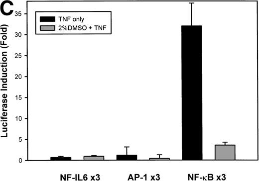 Fig. 6. Antioxidant effect maps to the NF-κB element. (A) Serial 5′ deletions of the IL-8 promoter analyzed for their DMSO-sensitivity. Triplicate cell cultures were transfected with the indicated IL-8/LUC reporter plasmids and an SV40/alkaline phosphatase plasmid as an internal control. Cells were unstimulated/stimulated with 20 ng/mL TNF in the absence or presence of 2% (vol/vol) DMSO. Fold-induction of the Luciferase activity of stimulated cells is shown (P < .0001 for –99, -162, -1498: nonpretreated vpretreated with 2% (vol/vol) DMSO). (B) DMSO-sensitivity of IL-8 promoter point mutations. Triplicate cell cultures were transfected with the indicated IL-8/LUC reporter plasmids and an SV40/alkaline phosphatase plasmid as an internal control. Cells were unstimulated/stimulated with 20 ng/mL TNF in the absence/presence of 2% (vol/vol) DMSO. Fold-induction of the Luciferase activity of stimulated cells is shown (P < .0001 for nonpretreatedv DMSO-pretreated, except ▵NF-κB). (C) DMSO effects on IL-8 multimers. Multimers of NF-κB, NF-IL6, and AP-1 sites ligated upstream of an inert hIL-8 TATA box were analyzed for their DMSO sensitivity. Triplicate cell cultures were transfected with the indicated IL-8/LUC reporter plasmids and a SV40/alkaline phosphatase plasmid as an internal control. Cells were untreated or stimulated with 20 ng/mL TNF in the absence or presence of 2% (vol/vol) DMSO. Fold-induction of stimulated Luciferase activity is shown (for NF-κB multimer nonpretreated v DMSO-pretreated, P < .0001).