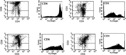 Fig. 7. Phentotypic analysis of MDC-responsive thymocytes. FACS analysis was performed on thymocytes after chemotaxis towards an optimal concentration of MDC (100 nmol/L). The upper panels show staining of freshly isolated thymocytes with CD4 and CD8 or CD3. The lower panels show staining of thymocytes that had migrated in response to MDC for the same markers. Data shown are representative of 3 separate experiments.