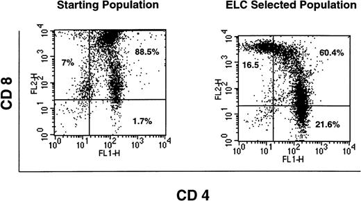 Fig. 8. Phentotypic analysis of ELC-responsive thymocytes. FACS analysis was performed on thymocytes after chemotaxis towards an optimal concentration of ELC (500 nmol/L). The left-hand panel shows staining of freshly isolated thymocytes with CD4 and CD8, whereas the right-hand panel shows staining of those thymocytes that had migrated in response to ELC. Data shown are representative of 3 separate experiments.